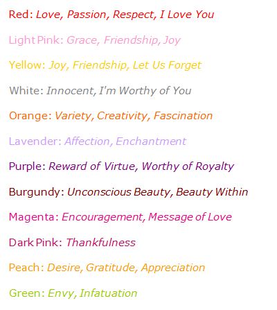 rose-meanings-just-roses-plus.jpg rose-meanings-just-roses-plus.jpg